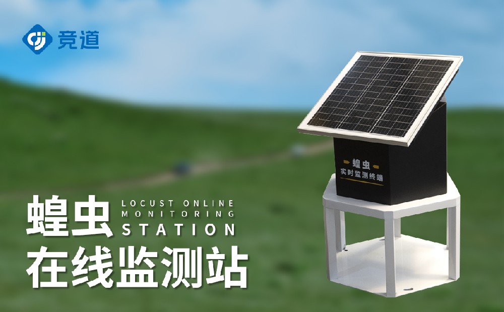 1697701816142097.jpg 2.jpg